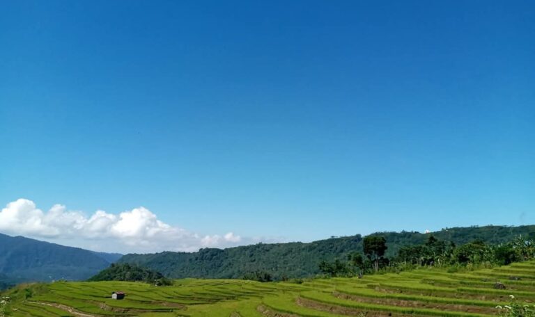 WhatsApp Image 2025-04-04 at 21.00.50